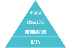 2601 d4d DIKW Pyrmid s