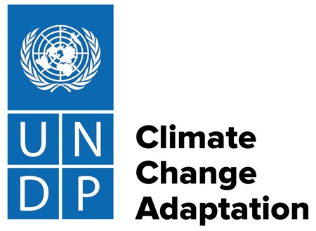 logo undp cc